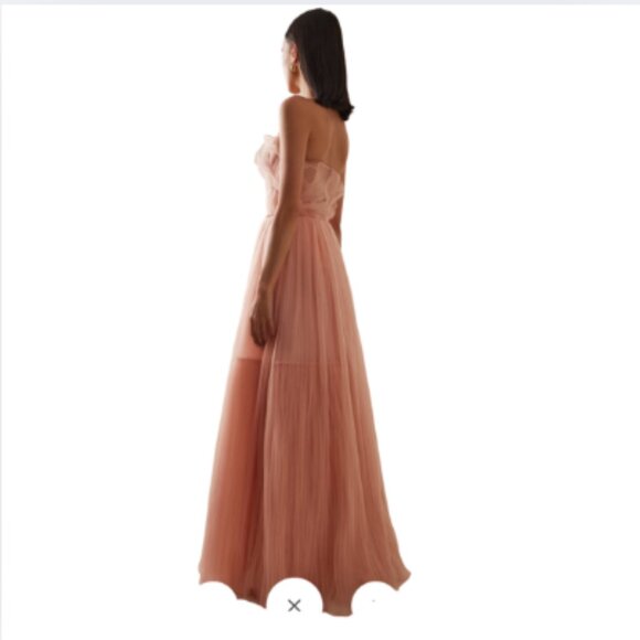 Marinel Strapless Pleated Tulle Gown Size S “Fishing” Color NWT - Picture 3 of 5